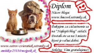 Obrázok